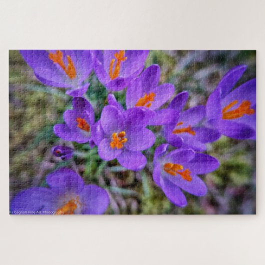 Crocus Fine Art Legpuzzel (Horizontaal)