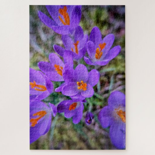 Crocus Fine Art Legpuzzel (Verticaal)