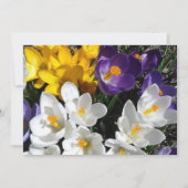 Crocus Flower Floral Bedankkaart (Voorkant)