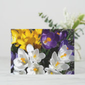 Crocus Flower Floral Bedankkaart (Staand voorkant)