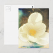 Crocus Flower Grunge Briefkaart (Voorkant / Achterkant)