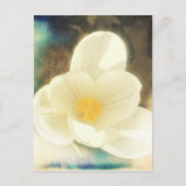 Crocus Flower Grunge Briefkaart (Voorkant)