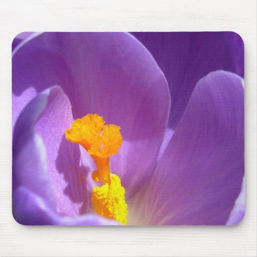 Crocus Flower Mousepad Paars/Blue Decor Gifts Muismat (Voorkant)
