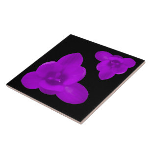 Crocus Flower Paars Tile Tegeltje