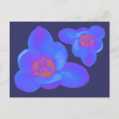 Crocus Flowers Hot en Cold Briefkaart (Voorkant)