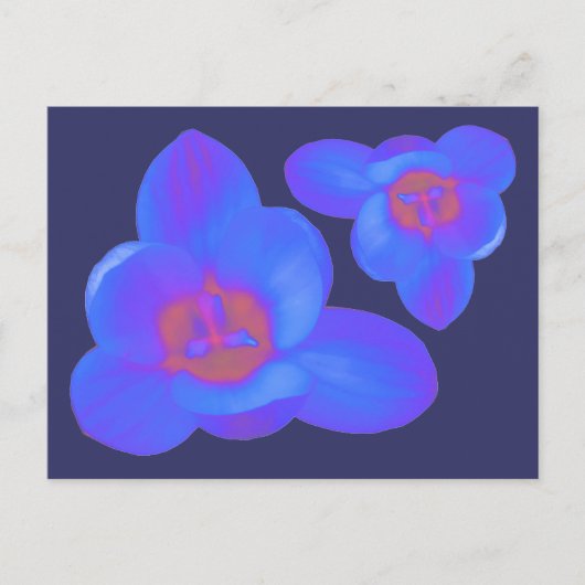 Crocus Flowers Hot en Cold Briefkaart (Voorkant)
