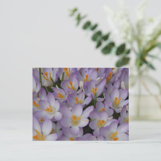 Crocus Flowers Pattern DIY Briefkaart (Staand voorkant)