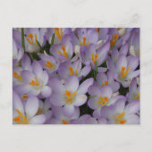 Crocus Flowers Pattern DIY Briefkaart (Voorkant)