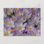 Crocus Flowers Pattern Happy Spring Briefkaart (Voorkant)