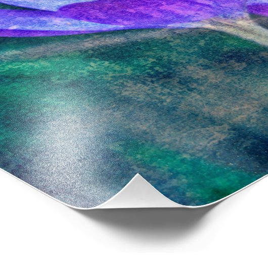 Crocus Foto Afdruk (Hoek)