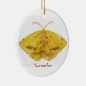 Crocus Geometer Moth Ornament (Rechts)