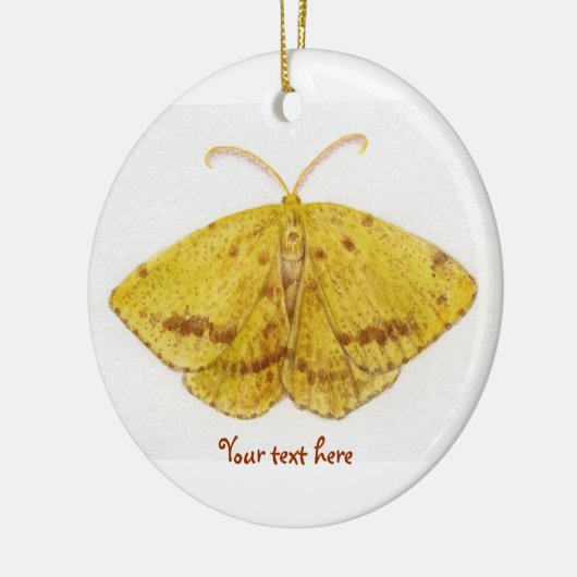 Crocus Geometer Moth Ornament (Links)