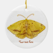 Crocus Geometer Moth Ornament (Achterkant)