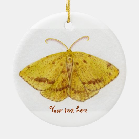 Crocus Geometer Moth Ornament (Achterkant)