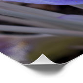 Crocus Ingepakt Canvasprint Perfect Poster (Hoek)