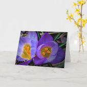 Crocus, kaart (Gele Bloem)