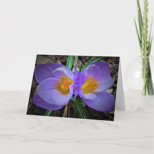 Crocus, kaart (Voorkant)