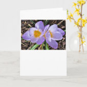 Crocus, kaart (Gele Bloem)