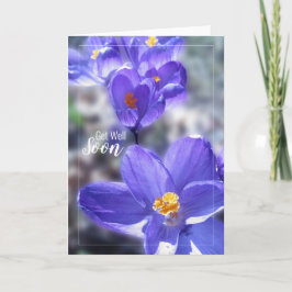 Crocus krijgt binnenkort een foto kaart
