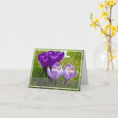 Crocus lente kaart (Gele Bloem)