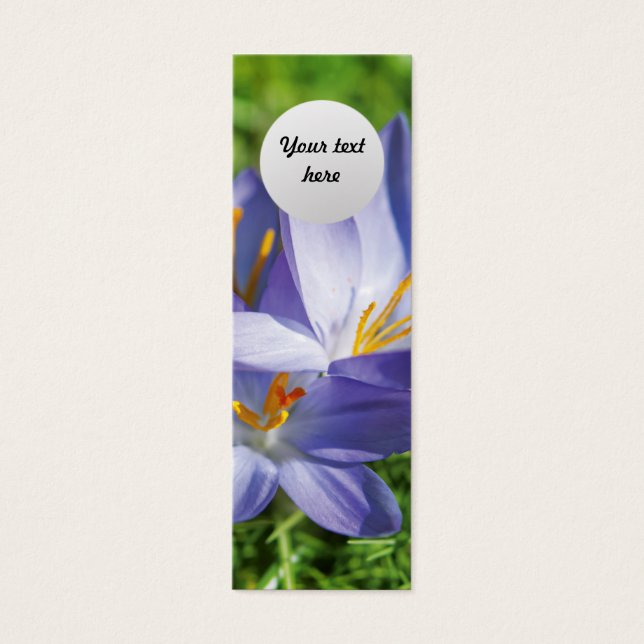 Crocus Mini Visitekaartjes (Voorkant)
