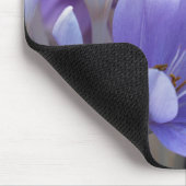 Crocus Muismat (Hoek)