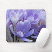 Crocus Muismat (Met muis)