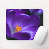 crocus muismat (Met muis)
