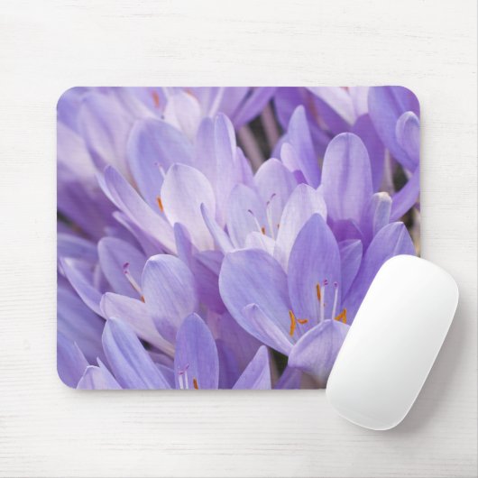 Crocus Muismat (Met muis)