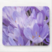 Crocus Muismat (Voorkant)