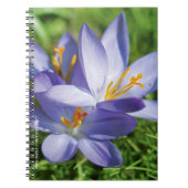 Crocus Notitieboek (Voorkant)