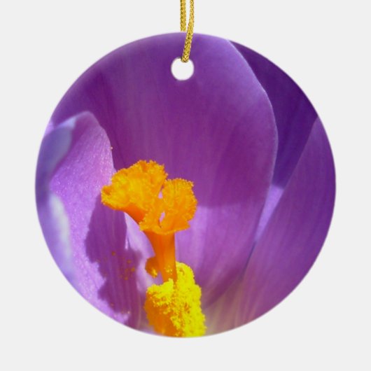 Crocus Ornament Purple Flowers Decoration (Voorkant)