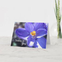Crocus Paars denken aan jou Kaart