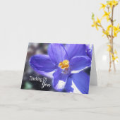 Crocus Paars denken aan jou Kaart (Gele Bloem)