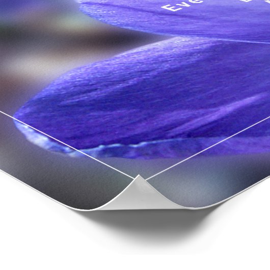 Crocus Paars Photo Quote Poster (Hoek)