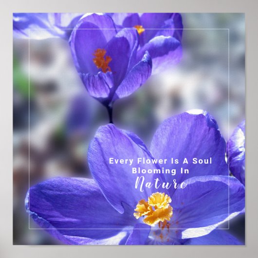 Crocus Paars Photo Quote Poster (Voorkant)