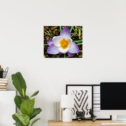 Crocus, Poster (Thuiskantoor)