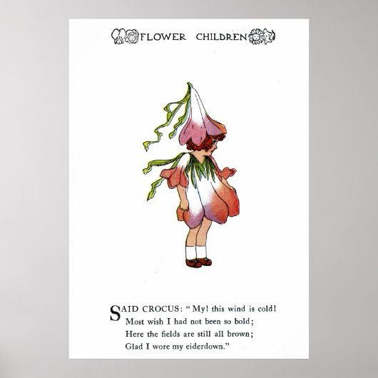 Crocus Poster (Voorkant)