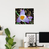 Crocus Poster (Thuiskantoor)