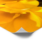 Crocus Poster (Hoek)