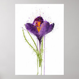 Crocus Poster