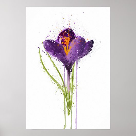 Crocus Poster (Voorkant)