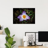 Crocus Poster (Thuiskantoor)