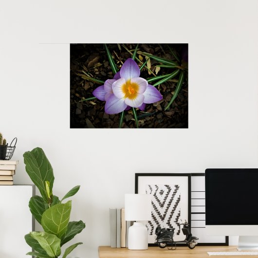Crocus Poster (Thuiskantoor)