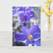 Crocus Purple Flowers Happy Birthday Kaart (Gele Bloem)