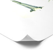 Crocus sativus poster (Hoek)