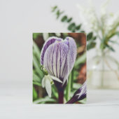 Crocus Snowdrop en waterdruppels Briefkaart (Staand voorkant)