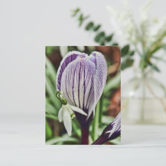 Crocus Snowdrop en waterdruppels Briefkaart (Staand voorkant)