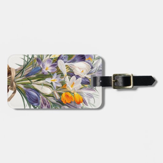 Crocus Spring Flower Botanische Bloemkunst Bagagelabel (Voorkant horizontaal)
