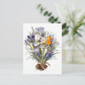 Crocus Spring Flower Botanische Bloemkunst Briefkaart (Staand voorkant)